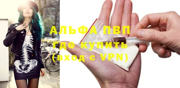 индика Алексеевка