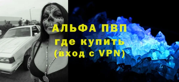 индика Алексеевка