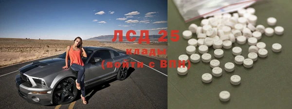 индика Алексеевка