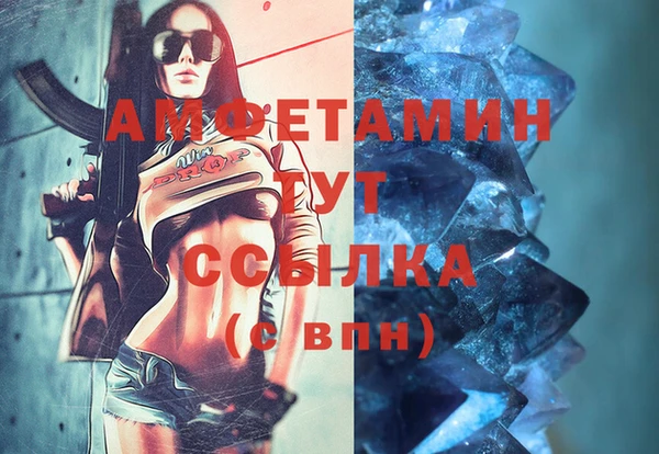 индика Алексеевка